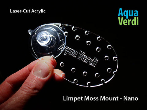 Limpet Moss Mount  – Nano 2-pack