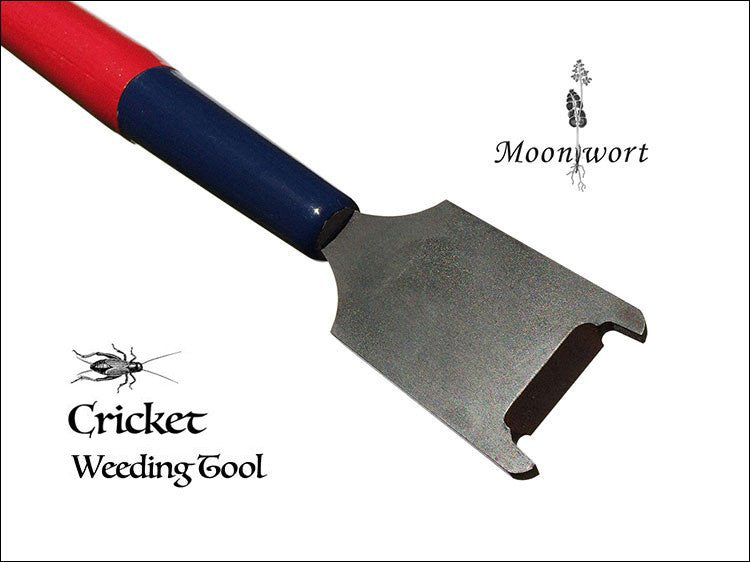 Cricket Weeding Tool vs. Burdock