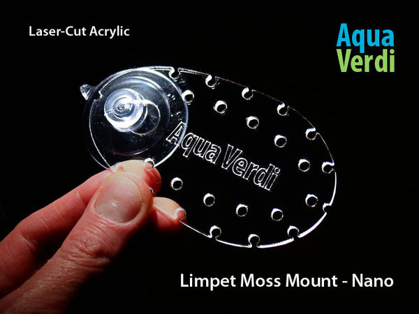 Limpet Moss Mount  – Nano 2-pack