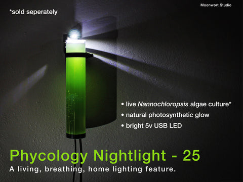 Phycology Nightlight - 25