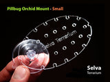 Pillbug Orchid Mount - Small 3-pack (Selva Terrarium)